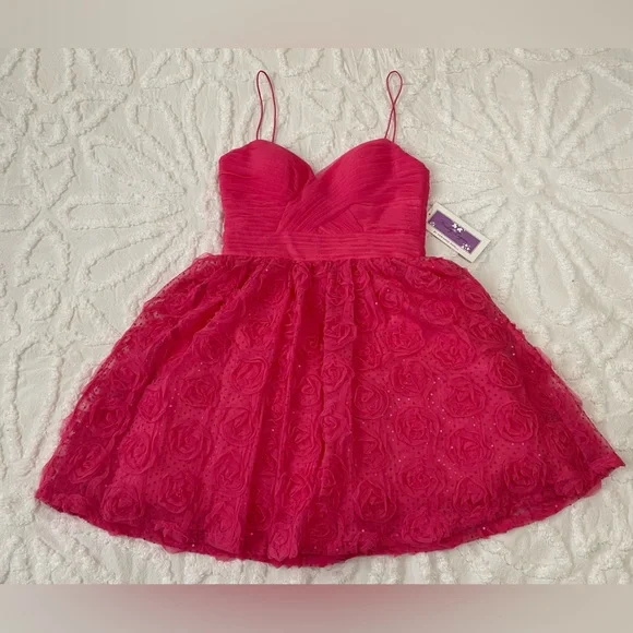 NWT Sparkly Pink Semi-Formal Dress - Picture 3 of 10